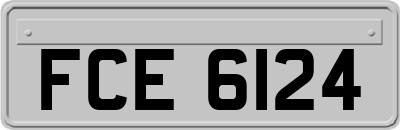 FCE6124