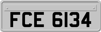 FCE6134
