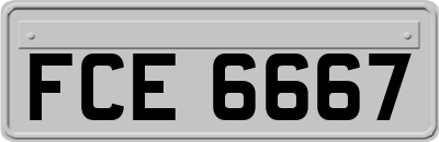 FCE6667