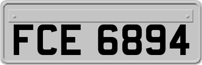 FCE6894