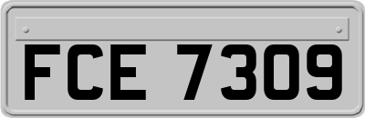 FCE7309