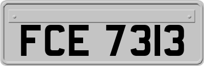 FCE7313