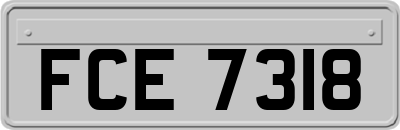 FCE7318