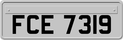 FCE7319