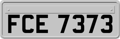 FCE7373