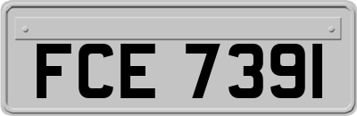 FCE7391