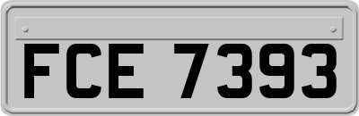 FCE7393