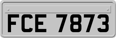 FCE7873