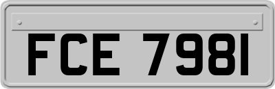 FCE7981