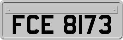 FCE8173