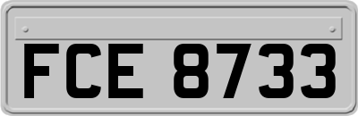 FCE8733
