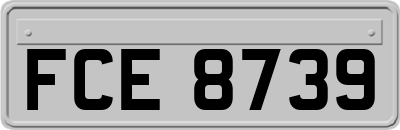 FCE8739