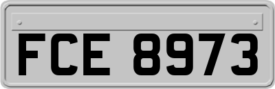 FCE8973
