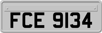 FCE9134
