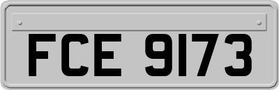 FCE9173
