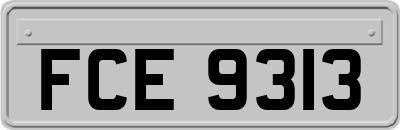 FCE9313