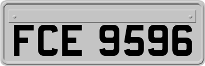 FCE9596