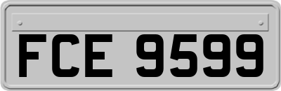 FCE9599
