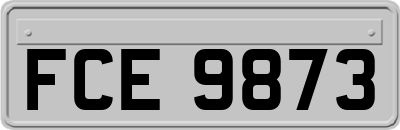 FCE9873