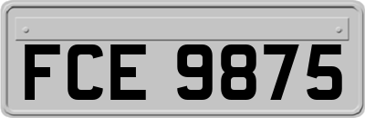 FCE9875