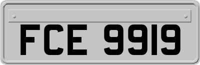FCE9919
