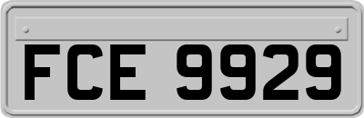 FCE9929