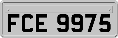 FCE9975