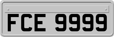 FCE9999