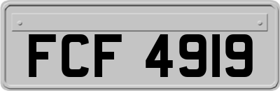 FCF4919