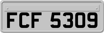 FCF5309