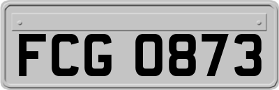 FCG0873