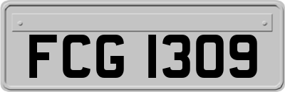 FCG1309