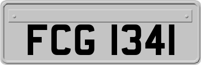 FCG1341