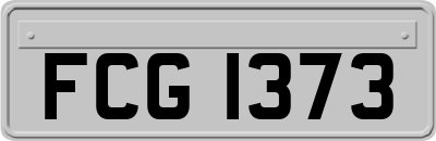 FCG1373