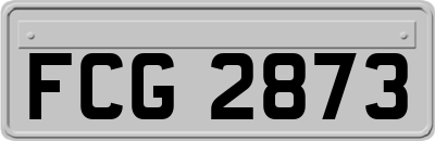 FCG2873