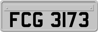 FCG3173
