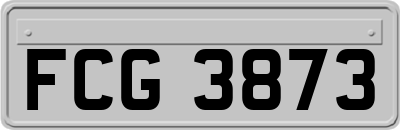 FCG3873