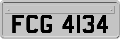 FCG4134