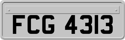 FCG4313