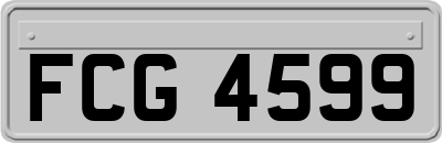 FCG4599