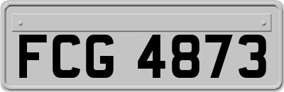 FCG4873