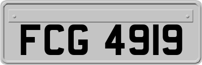 FCG4919