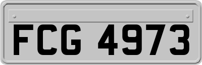 FCG4973