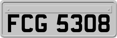 FCG5308