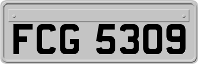 FCG5309