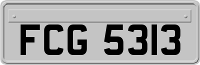 FCG5313