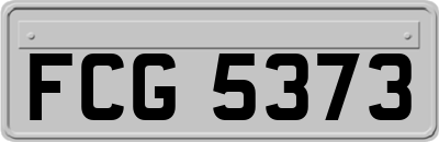 FCG5373