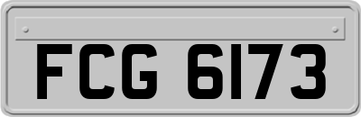 FCG6173
