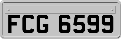 FCG6599