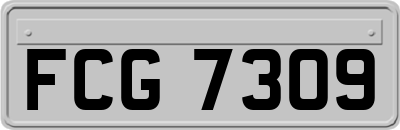 FCG7309
